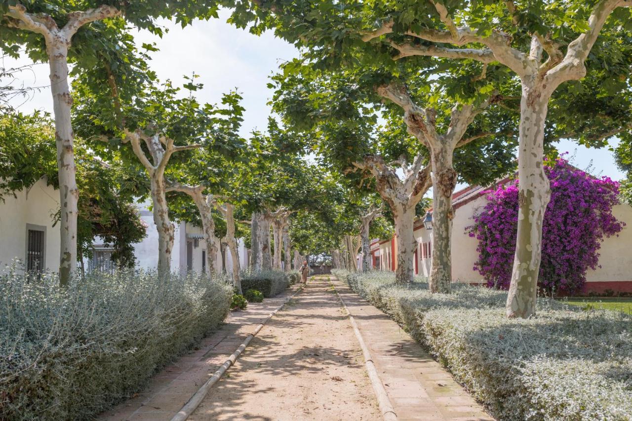 El Cortijo De Los Mimbrales 埃尔罗西奥 外观 照片